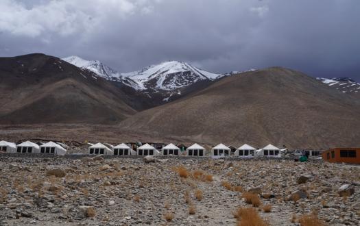Ladakh Summer Pangong Camp 