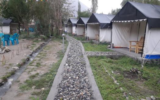 Nubra Pika Camp